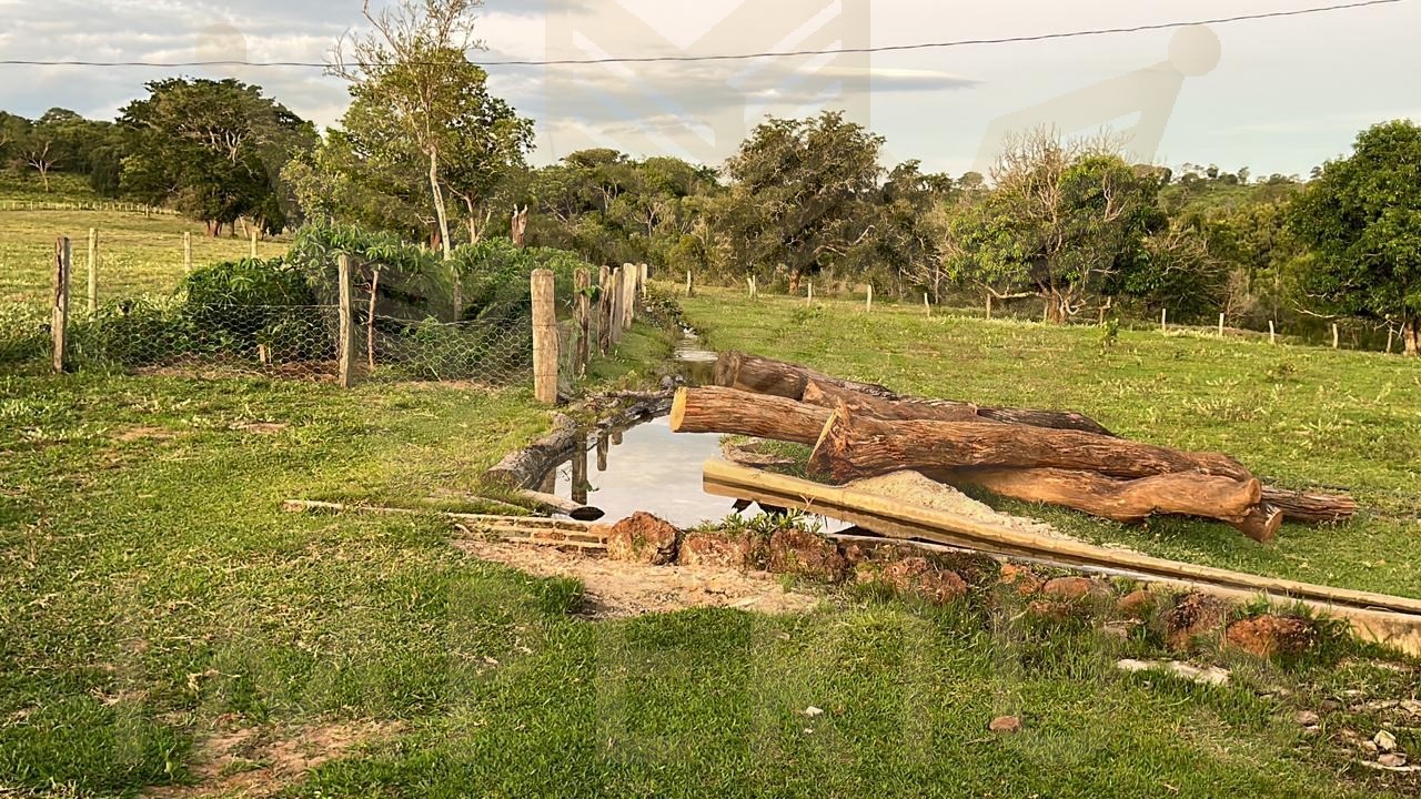 Fazenda- serranopolis