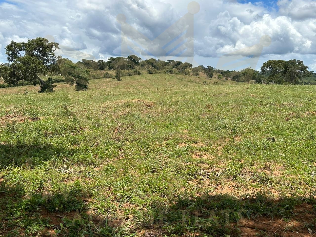 Fazenda- serranopolis
