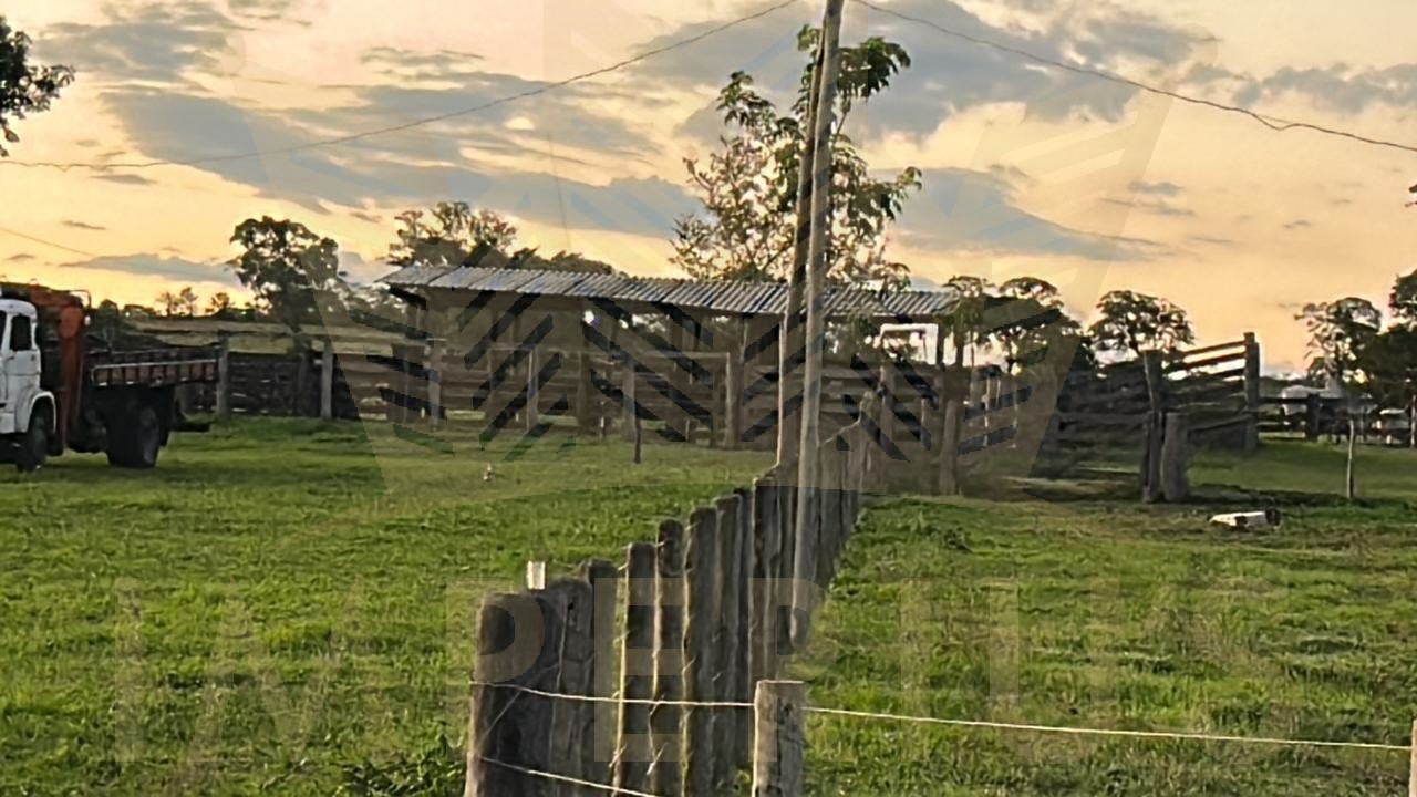 Fazenda- serranopolis