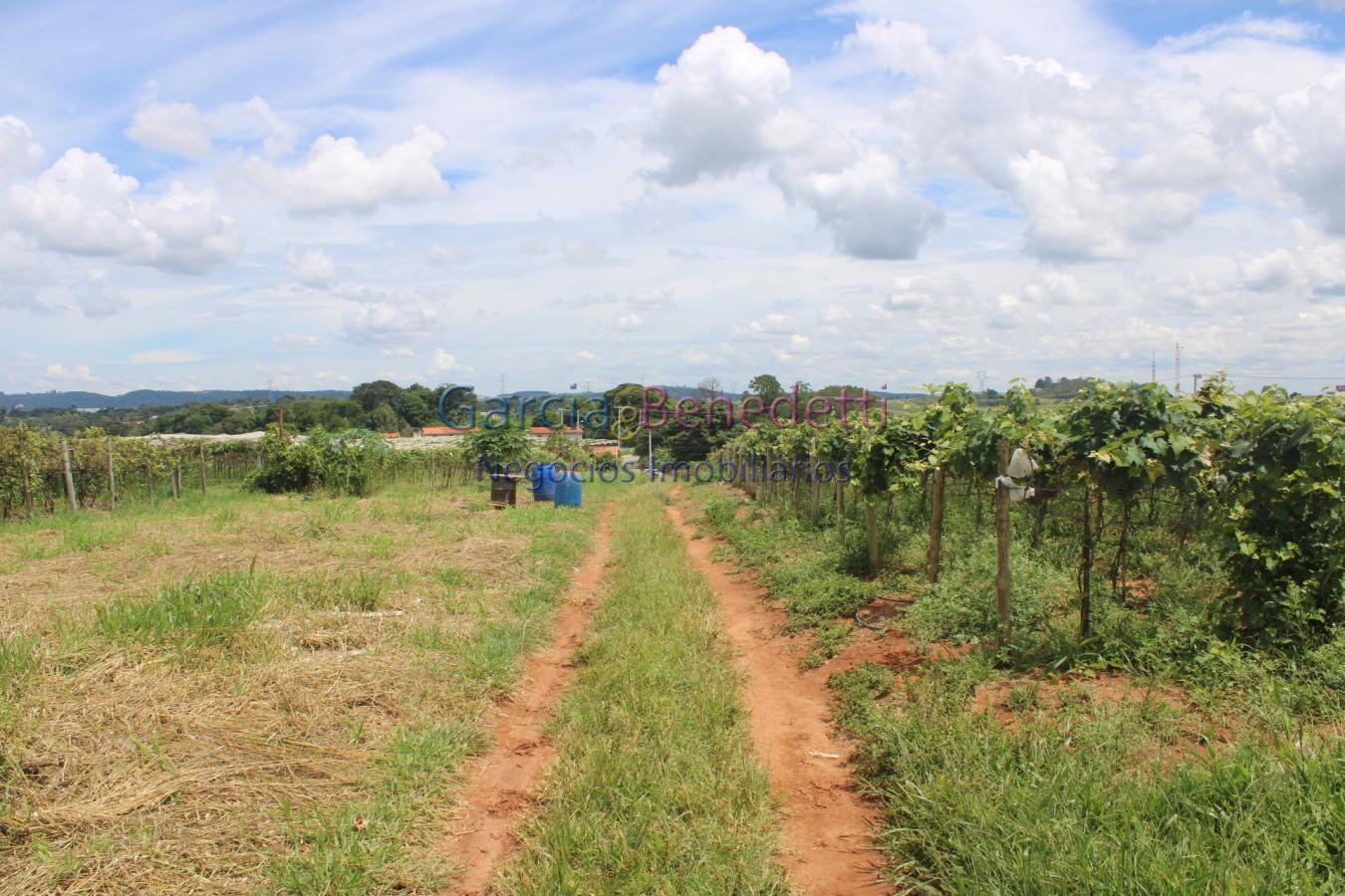 Sítio para Venda em Jundiaí / SP no bairro Bom Jardim - foto 17