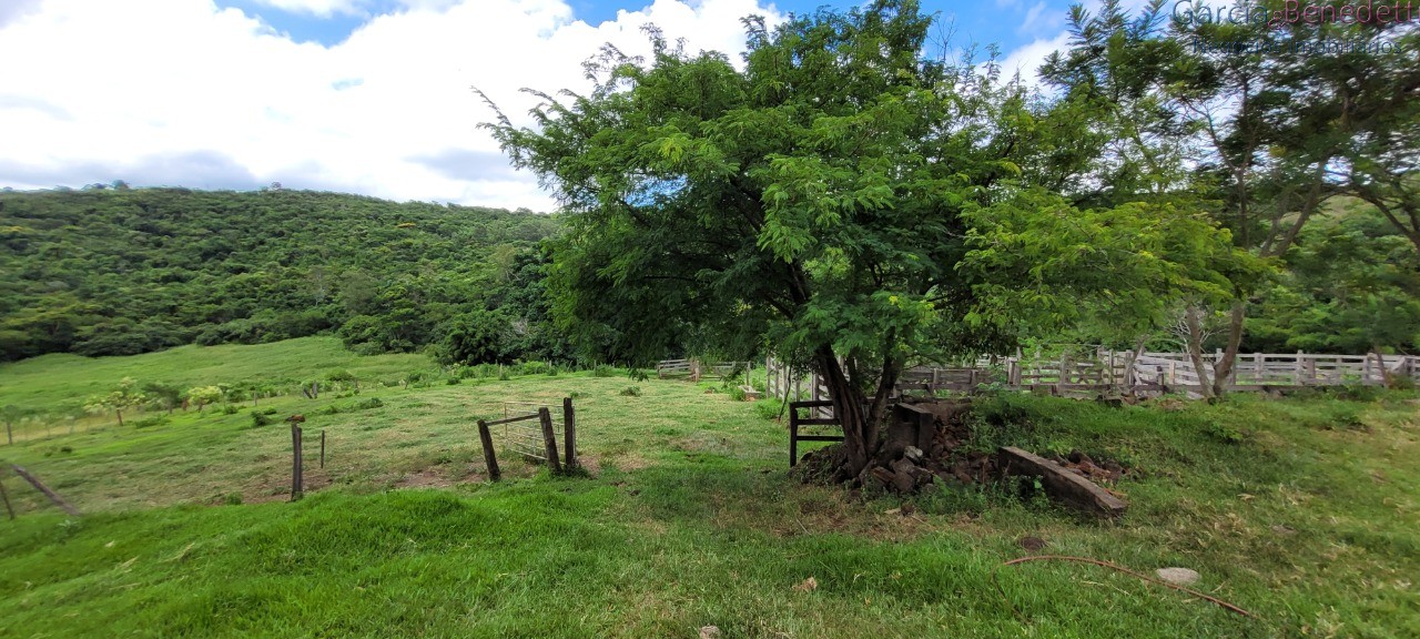 Chácara à venda em jandaia do sul-pr, bairro amizade, 3 quar