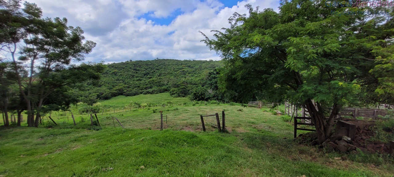 Chácara à venda em jandaia do sul-pr, bairro amizade, 3 quar