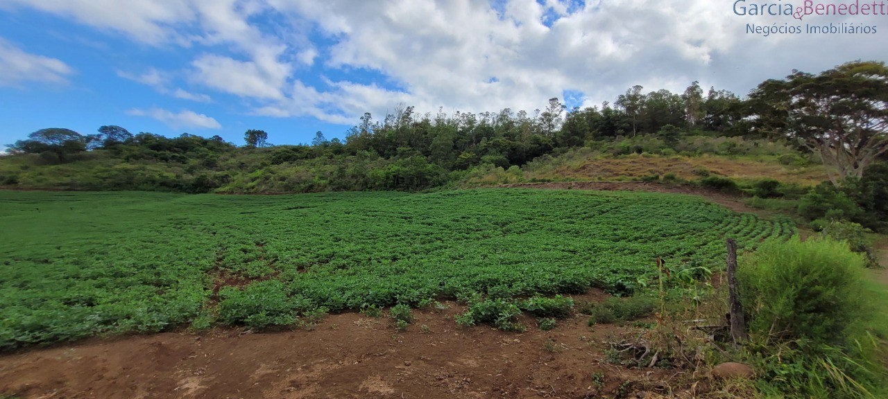 Ótima chácara para agricultura soja, milho e outras - jandai