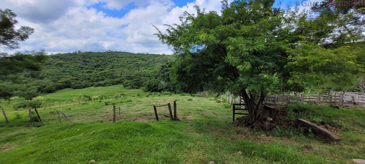 Chácara à venda em jandaia do sul-pr, bairro amizade, 3 quar