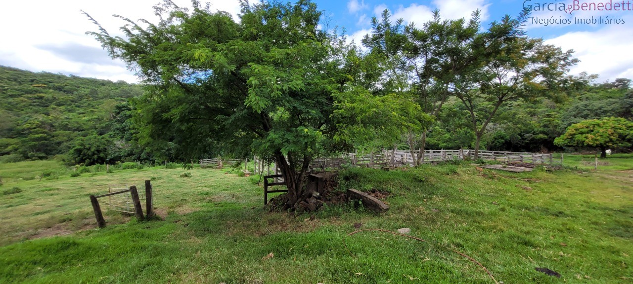 Chácara à venda em jandaia do sul-pr, bairro amizade, 3 quar