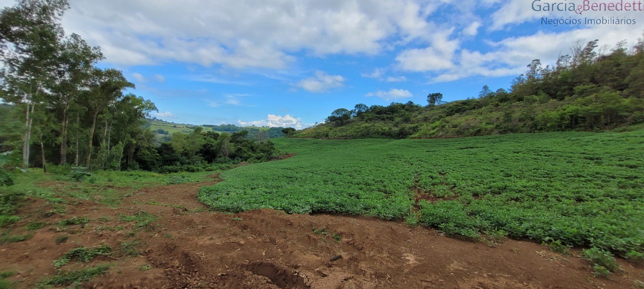 Ótima chácara para agricultura soja, milho e outras - jandai