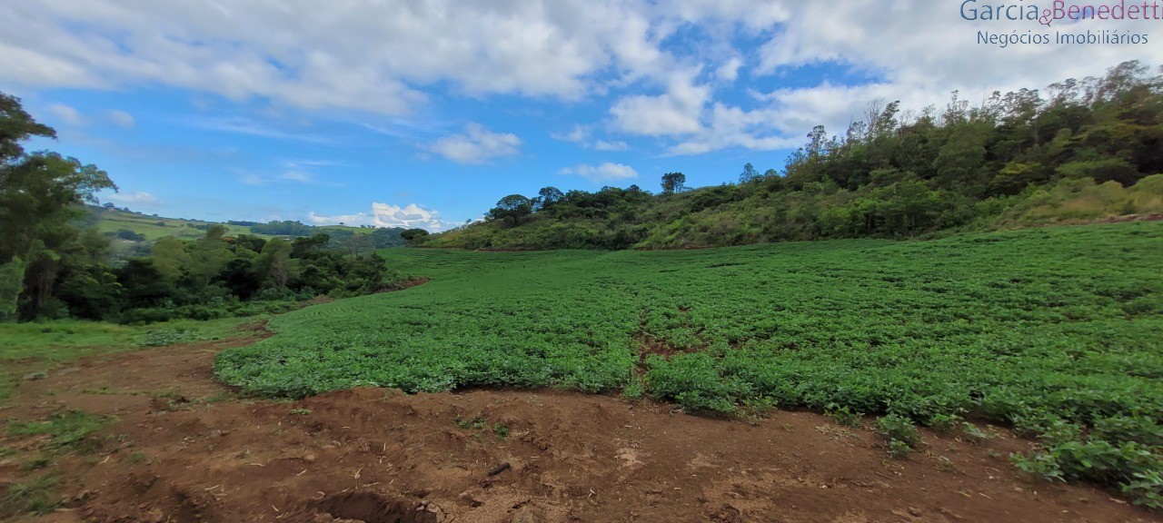 Ótima chácara para agricultura soja, milho e outras - jandai