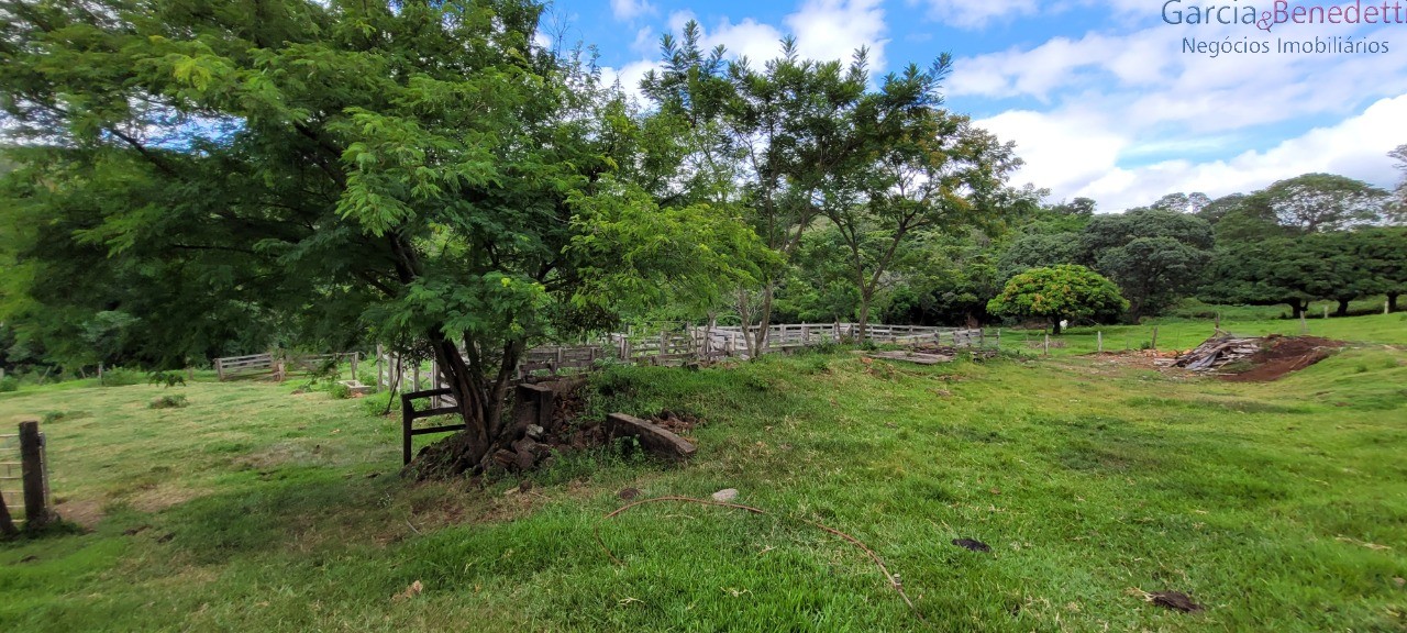 Chácara à venda em jandaia do sul-pr, bairro amizade, 3 quar