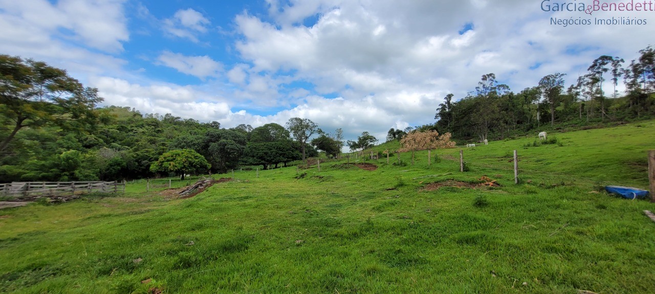 Chácara à venda em jandaia do sul-pr, bairro amizade, 3 quar