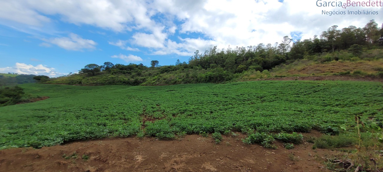 Ótima chácara para agricultura soja, milho e outras - jandai