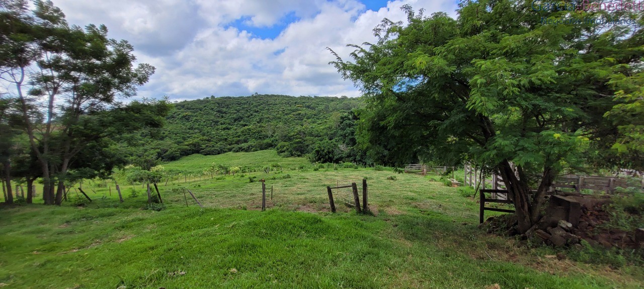 Chácara à venda em jandaia do sul-pr, bairro amizade, 3 quar