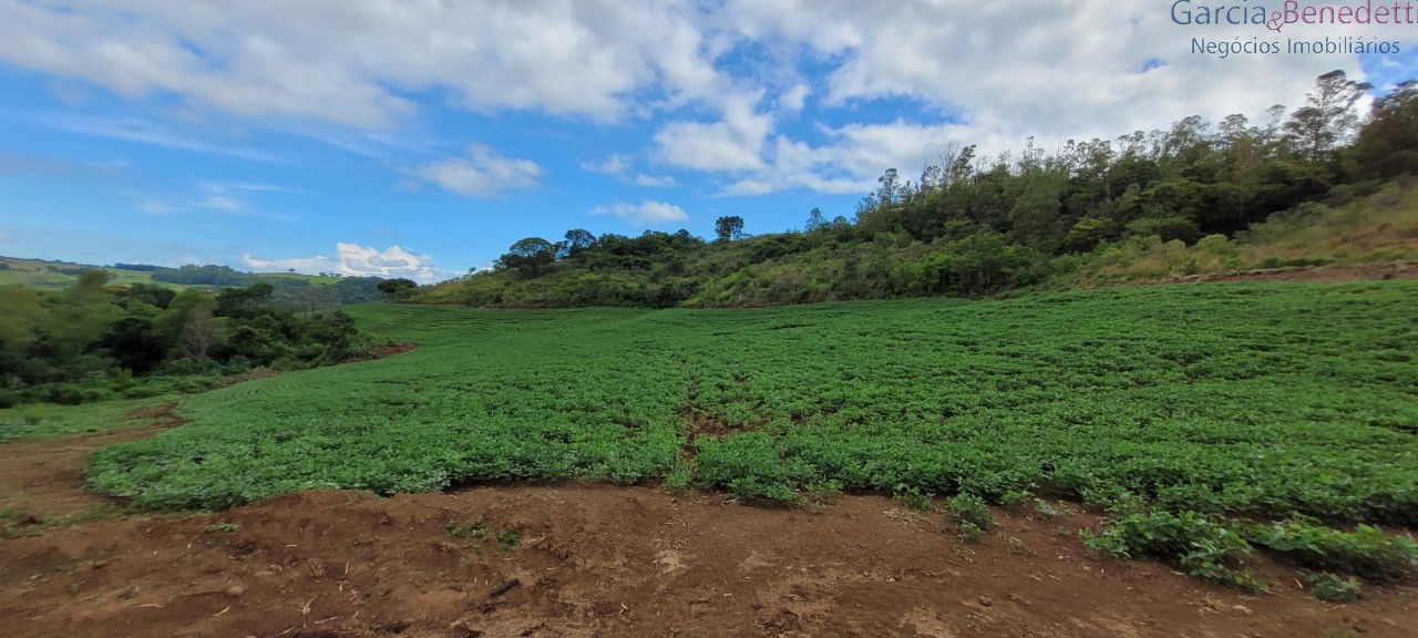 Ótima chácara para agricultura soja, milho e outras - jandai