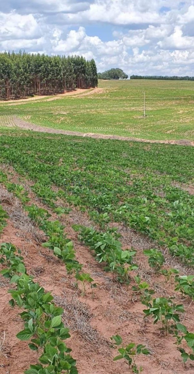Fazenda de porte com 4 quartos e 30 vagas em bauru-sp - lote
