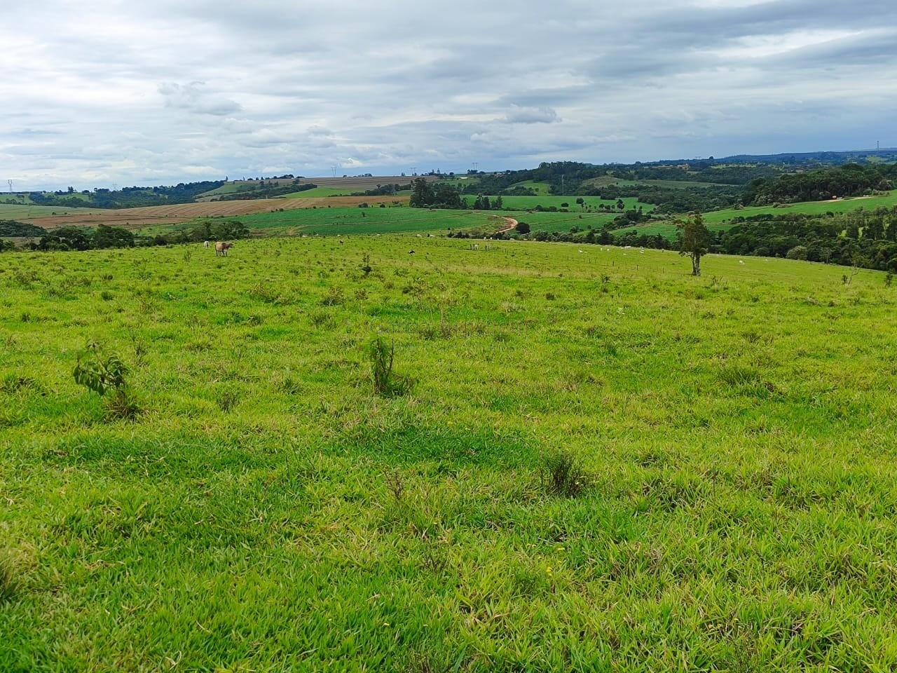 Oportunidade única: sítio à venda de 250.228 m² no centro de