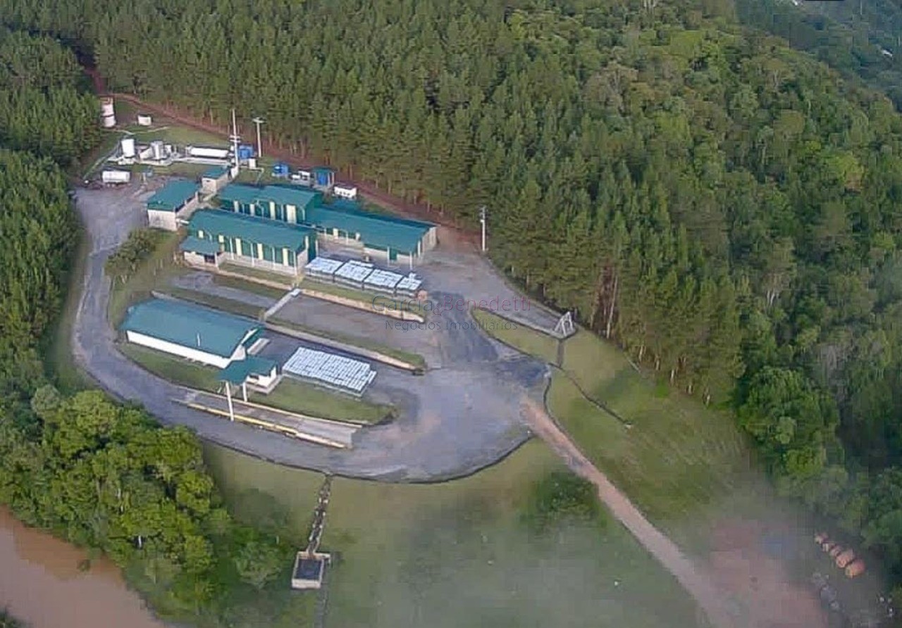 Fazenda de pinus e industria de resina à venda em itapeva-sp
