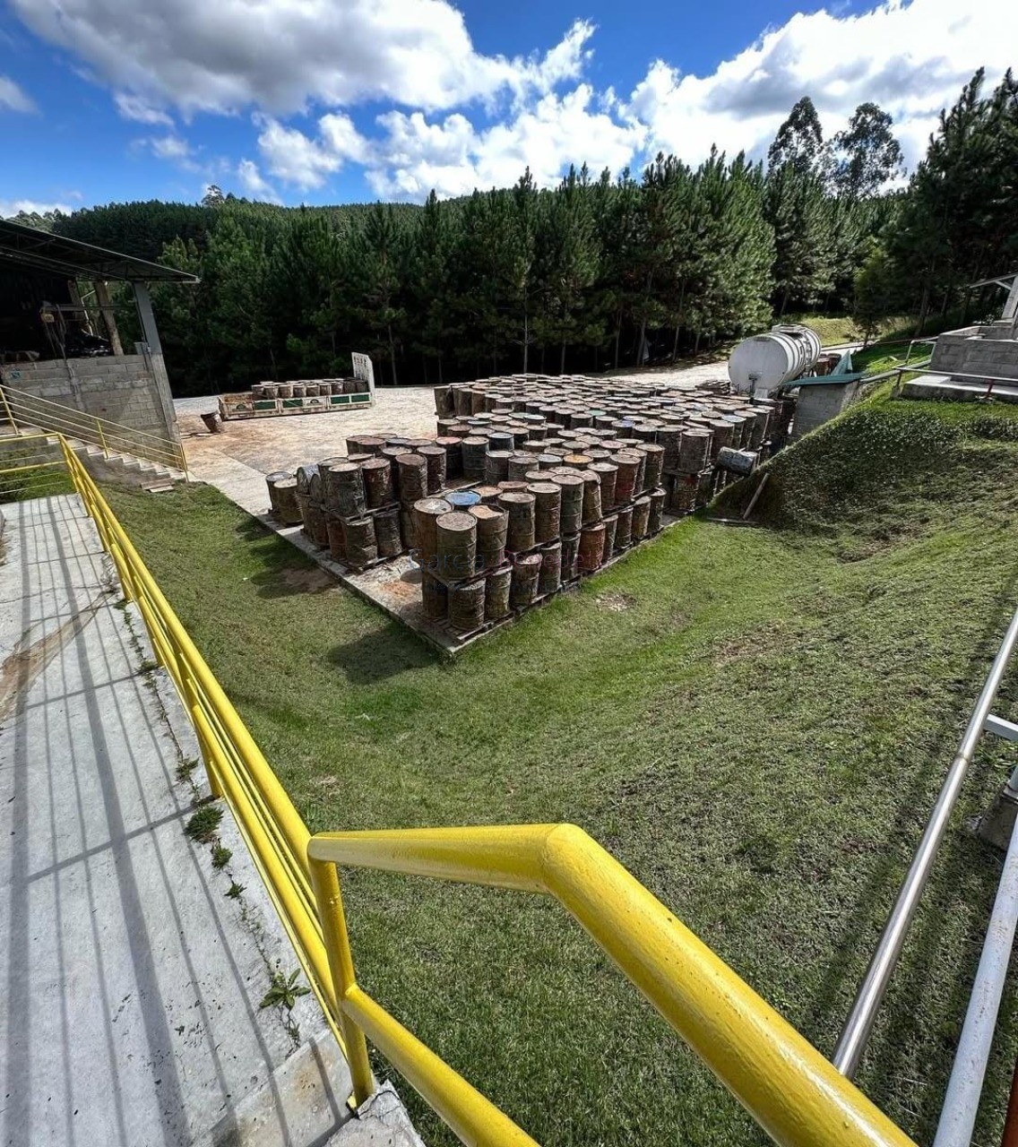 Fazenda de pinus e industria de resina à venda em itapeva-sp