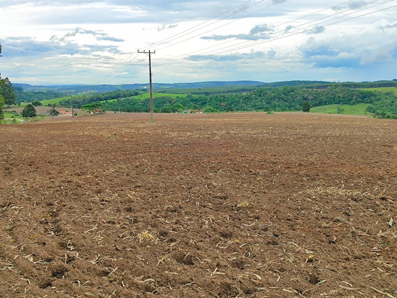 Fazenda na Regiãode Itapetininga-SP: 6 quartos, 4 salas, 4 banheiros, 40 vagas de garagem, 1.167.650,00 m² de área.