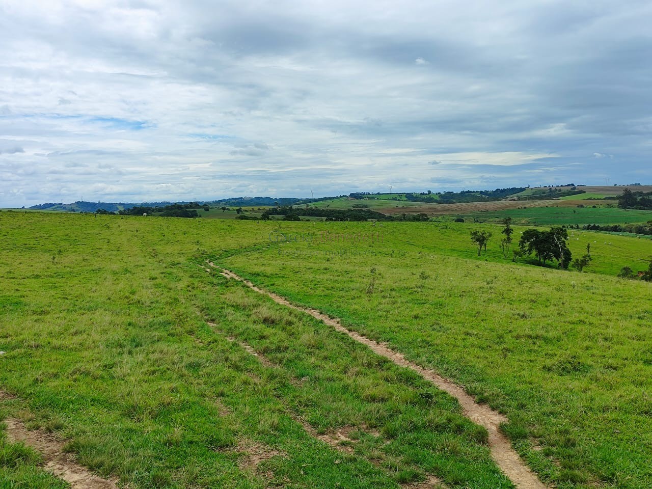 Oportunidade única: sítio à venda de 250.228 m² no centro de