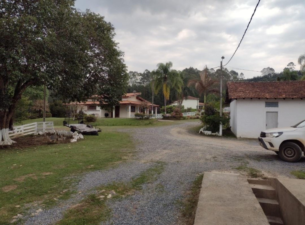 Fazenda de pinus e industria de resina à venda em itapeva-sp