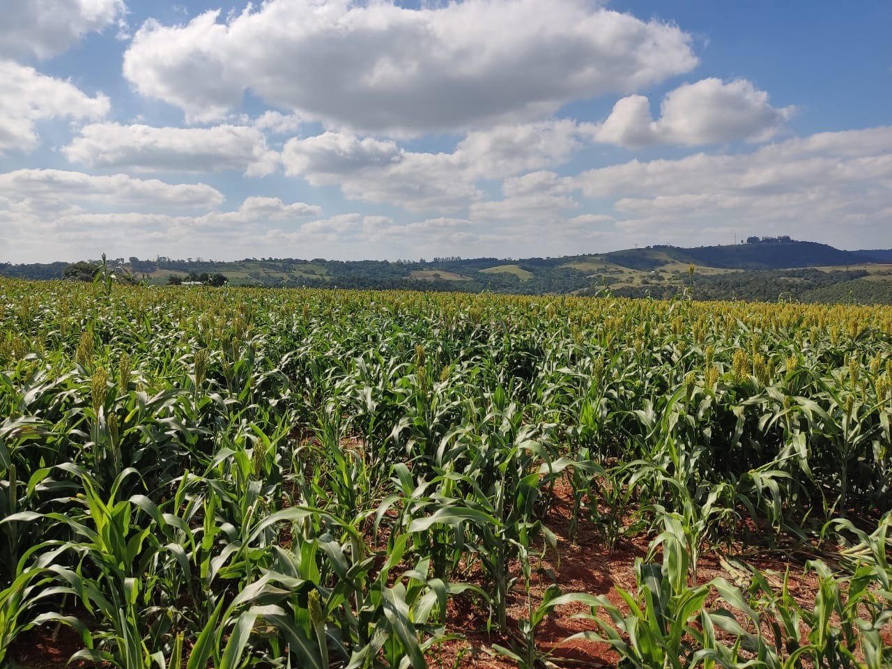 Oportunidade única: sitio à venda em itapetininga-sp, centro