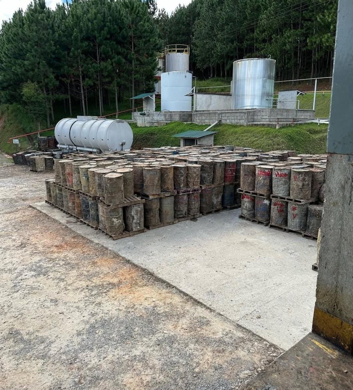 Fazenda de pinus e industria de resina à venda em itapeva-sp