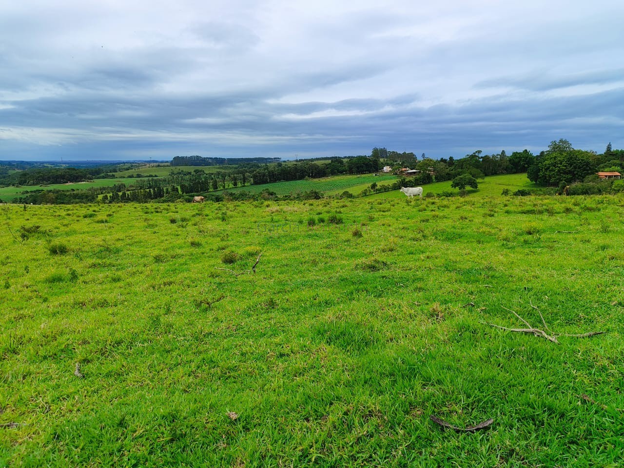 Oportunidade única: sítio à venda de 250.228 m² no centro de