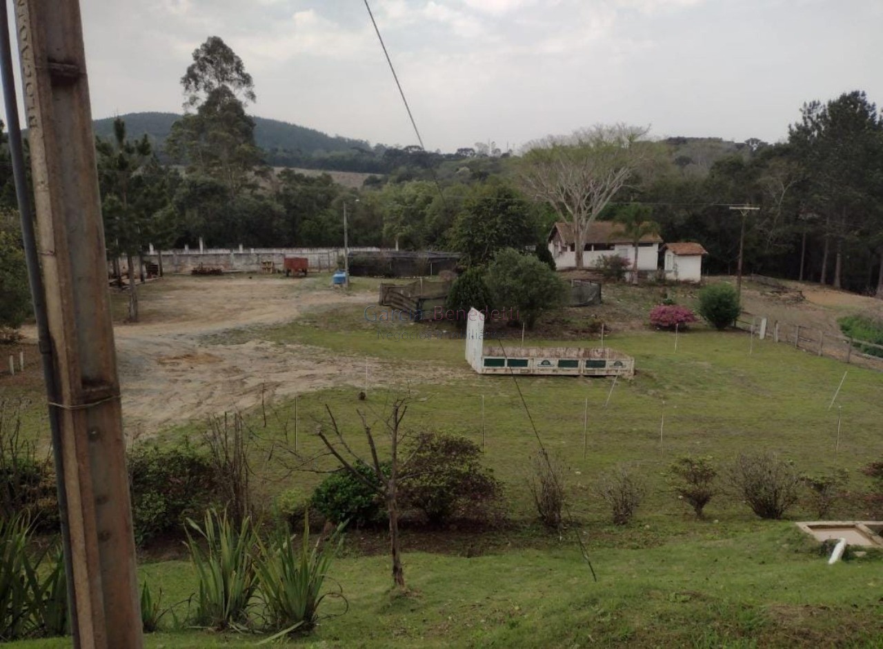 Fazenda de pinus e industria de resina à venda em itapeva-sp