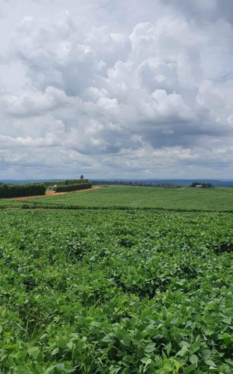 Fazenda de porte com 4 quartos e 30 vagas em bauru-sp - lote