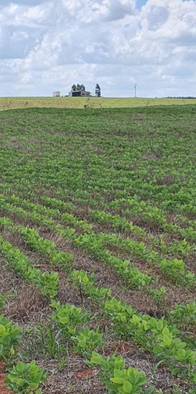 Fazenda de porte com 4 quartos e 30 vagas em Bauru-SP - Loteamento Chácaras Vale do São Luiz - Imperdível!