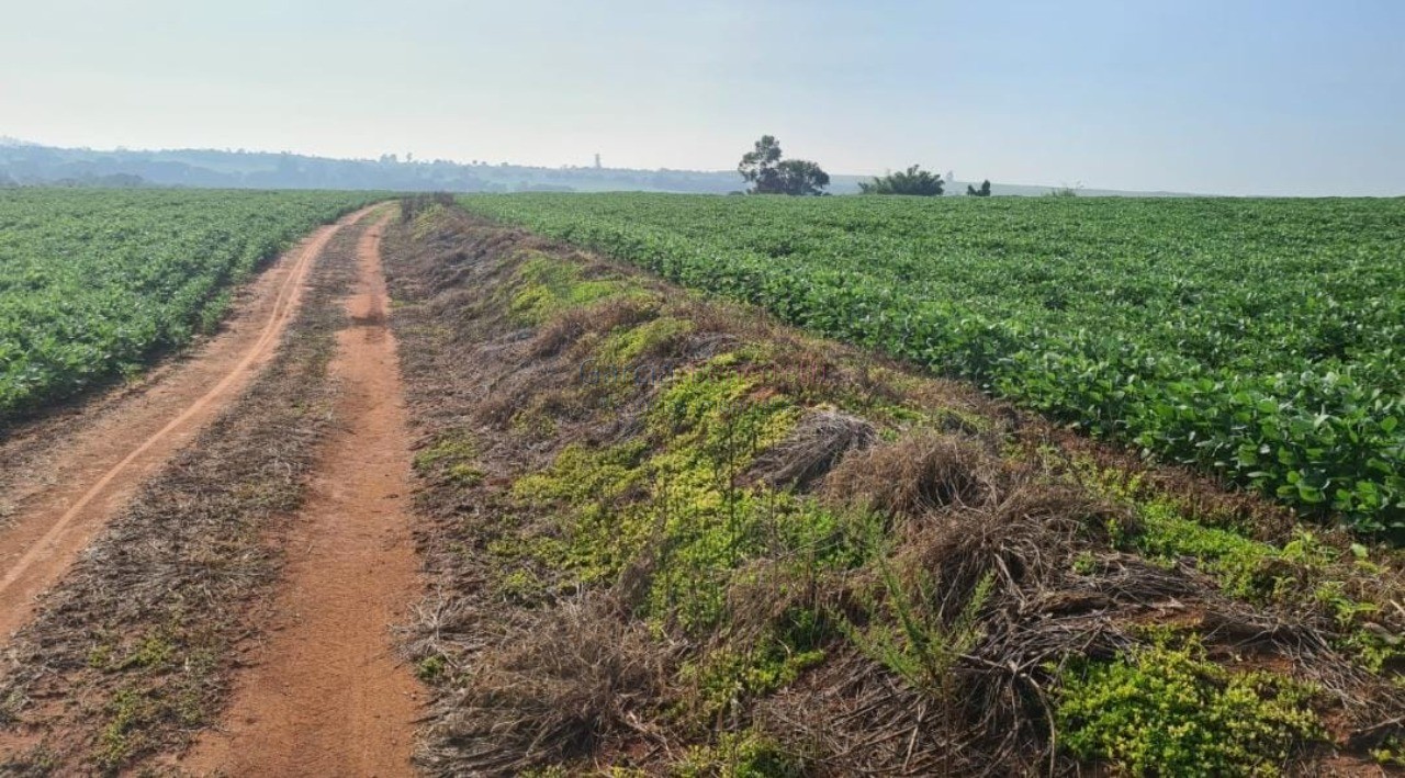 Sítio à venda em itapetininga-sp, no bairro vale san fernand