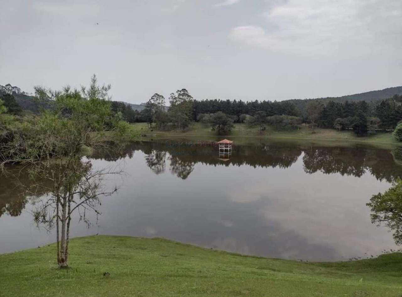 Fazenda de Pinus e Industria de Resina à venda em Itapeva-SP, bairro Jardim Europa: 12 quartos, 5 salas, 6 banheiros, 60 vagas de garagem, 24.200m²!