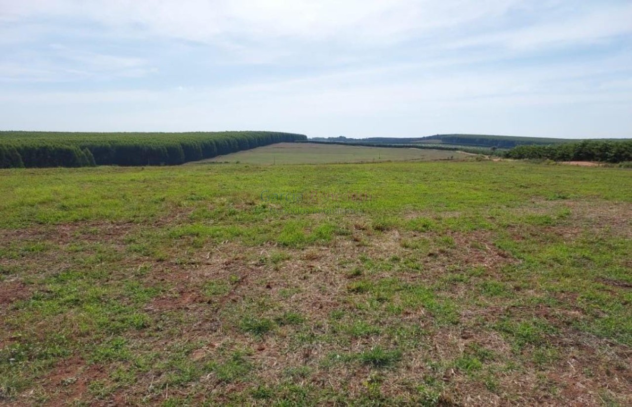 Fazenda de porte com 4 quartos e 30 vagas em bauru-sp - lote