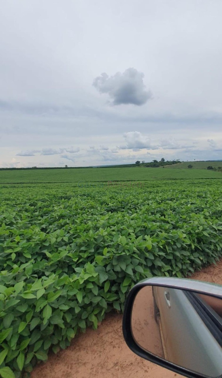 Fazenda de porte com 4 quartos e 30 vagas em bauru-sp - lote