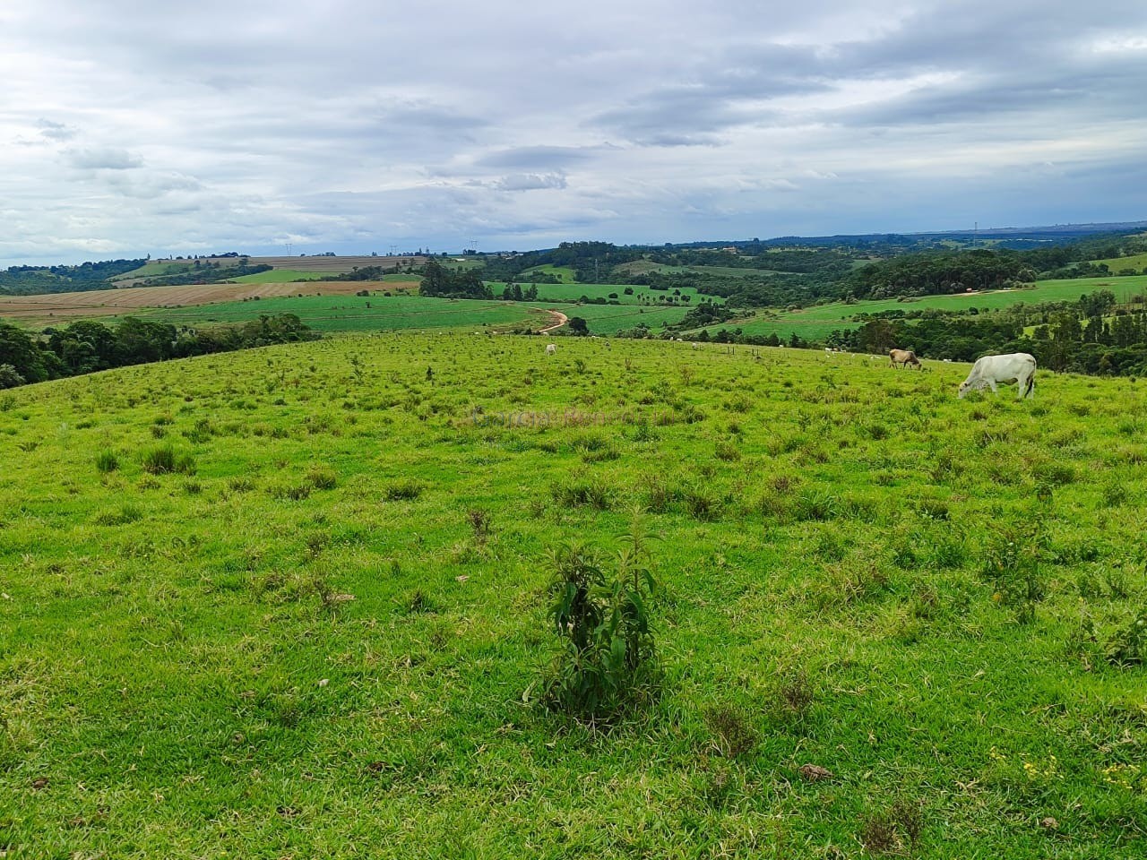 Oportunidade única: sítio à venda de 250.228 m² no centro de