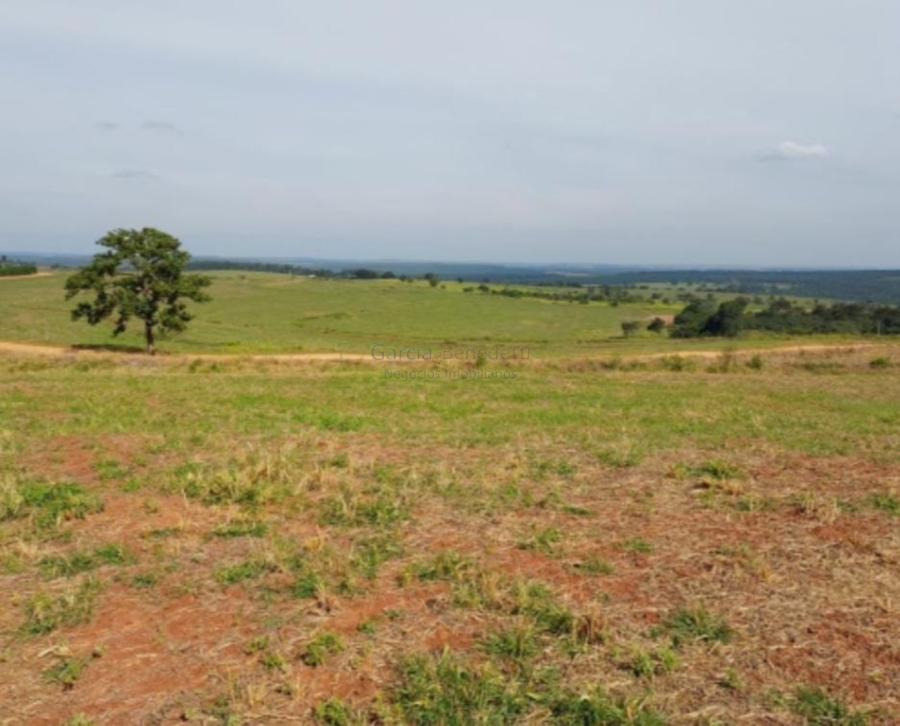 Fazenda de porte com 4 quartos e 30 vagas em bauru-sp - lote