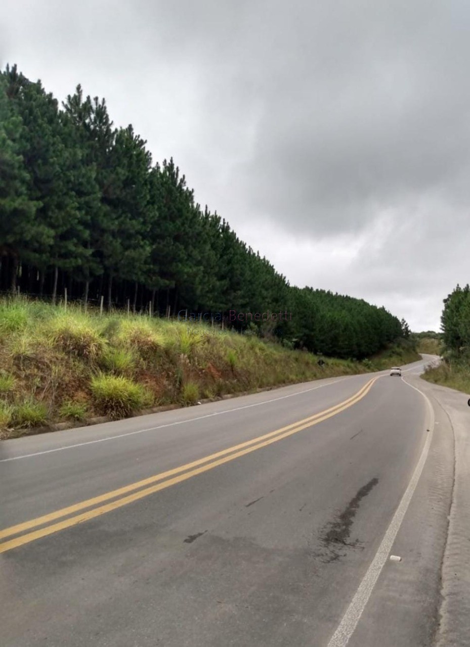 Fazenda de Pinus e Industria de Resina à venda em Itapeva-SP, bairro Jardim Europa: 12 quartos, 5 salas, 6 banheiros, 60 vagas de garagem, 24.200m²!