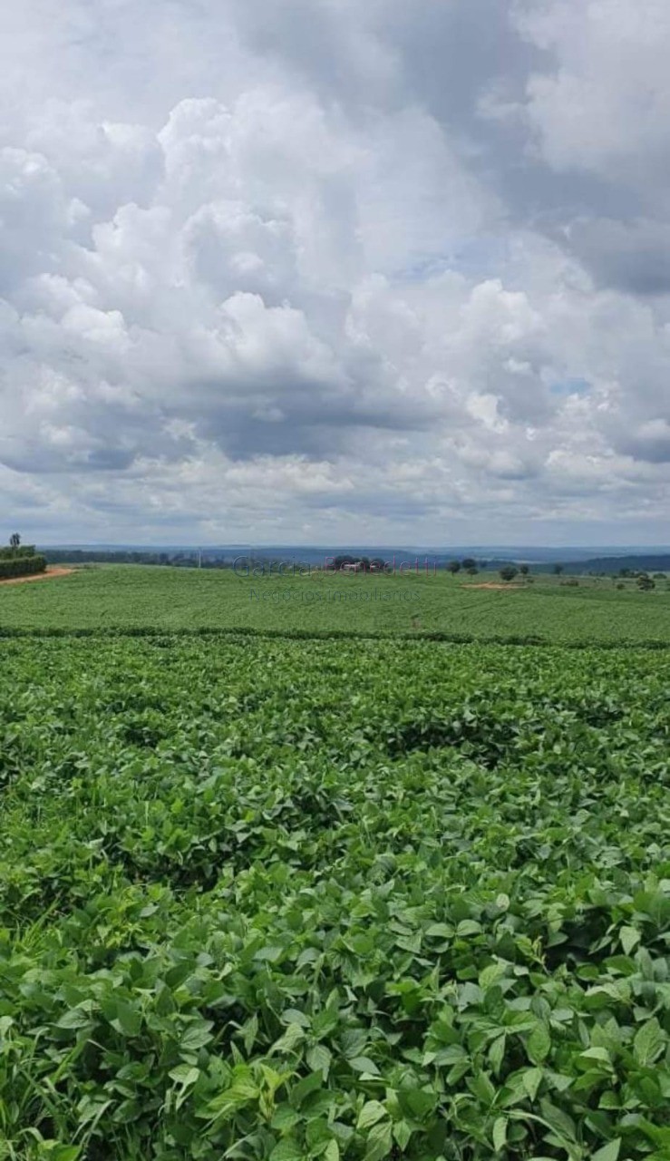 Fazenda de porte com 4 quartos e 30 vagas em Bauru-SP - Loteamento Chácaras Vale do São Luiz - Imperdível!