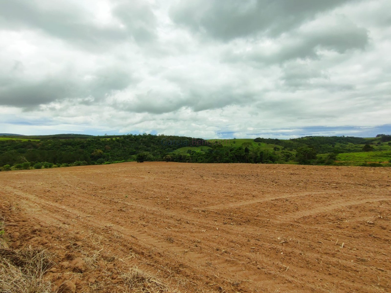 Fazenda na Regiãode Itapetininga-SP: 6 quartos, 4 salas, 4 banheiros, 40 vagas de garagem, 1.167.650,00 m² de área.
