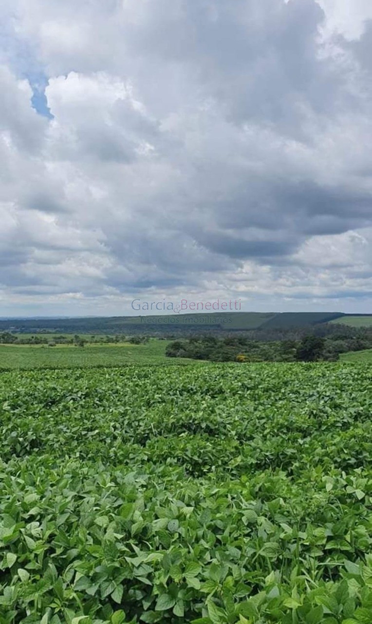 Fazenda de porte com 4 quartos e 30 vagas em Bauru-SP - Loteamento Chácaras Vale do São Luiz - Imperdível!