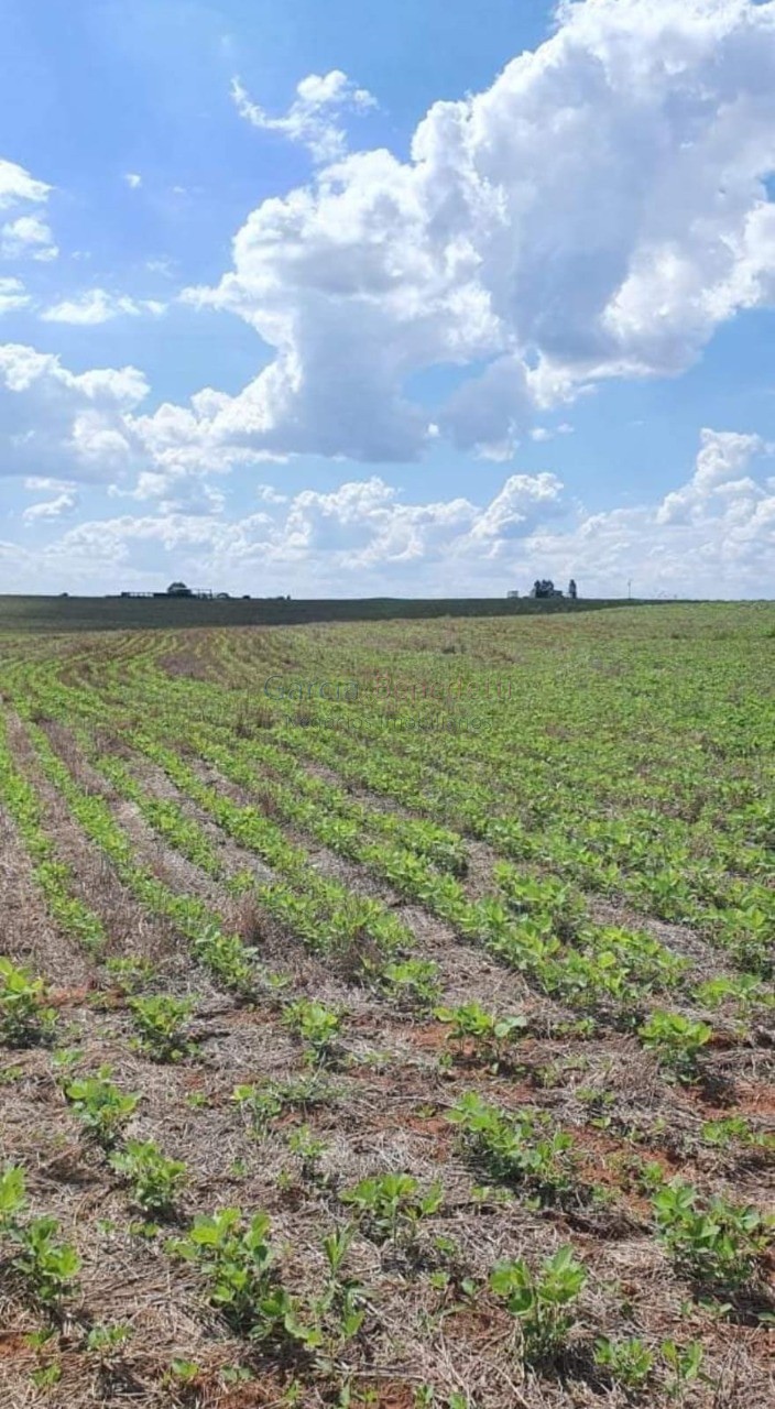 Fazenda de porte com 4 quartos e 30 vagas em bauru-sp - lote