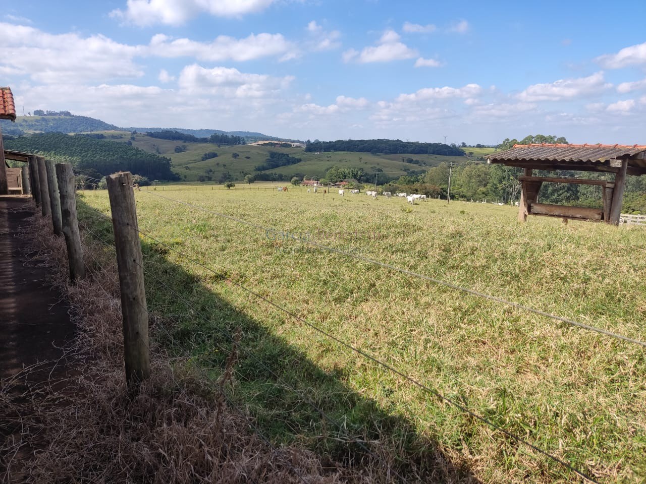 Oportunidade única: sitio à venda em itapetininga-sp, centro