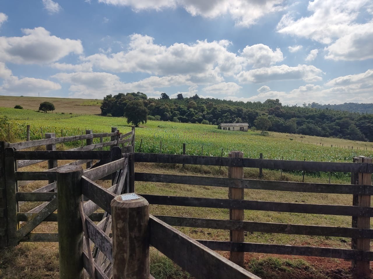 Oportunidade única: sitio à venda em itapetininga-sp, centro