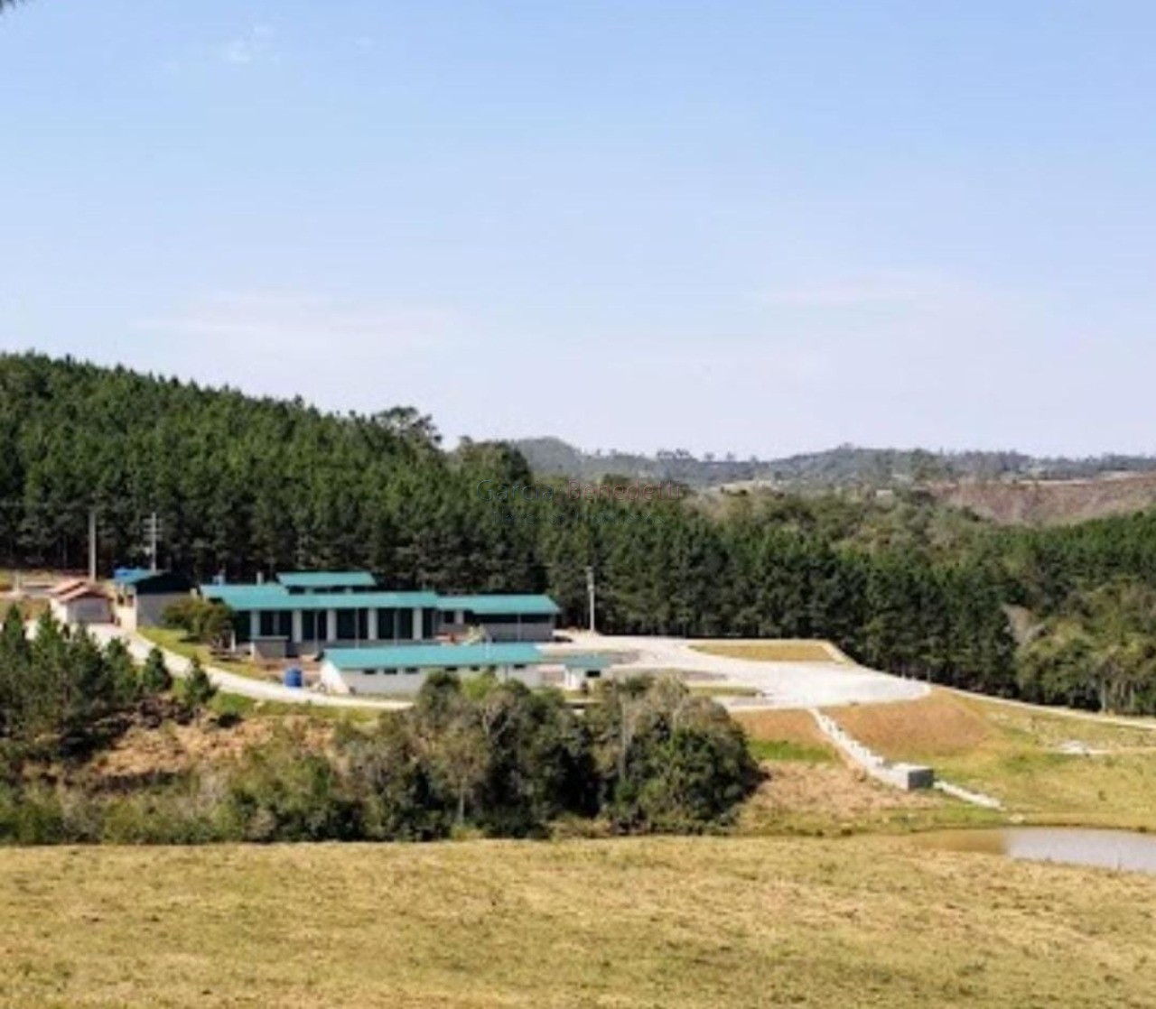 Fazenda de pinus e industria de resina à venda em itapeva-sp
