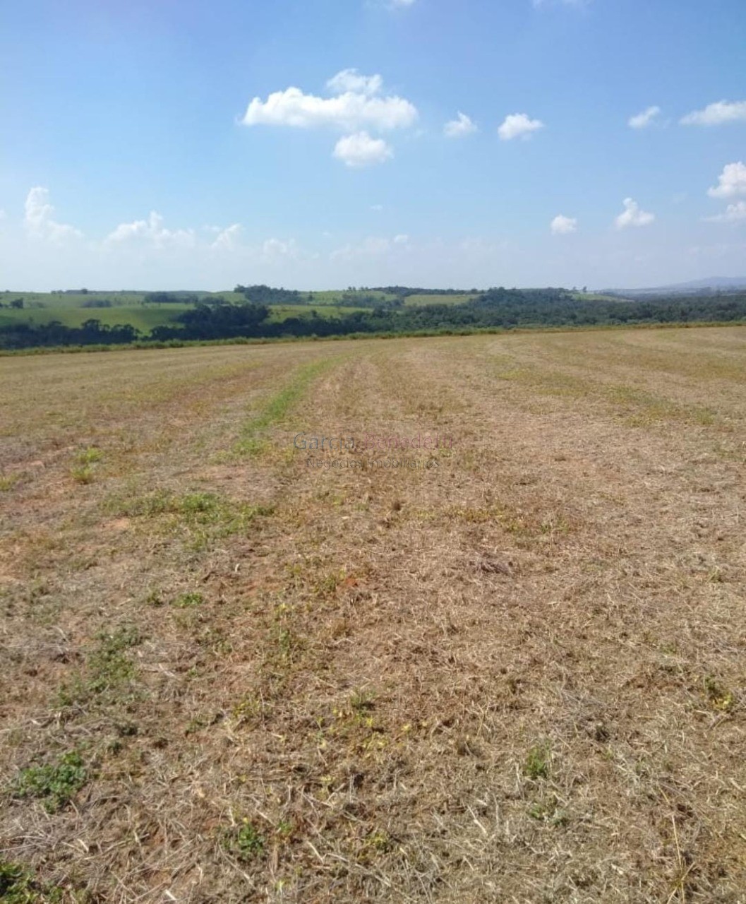 Sítio à venda em Itapetininga-SP, no bairro Vale San Fernando, com 895.400 m² de área!