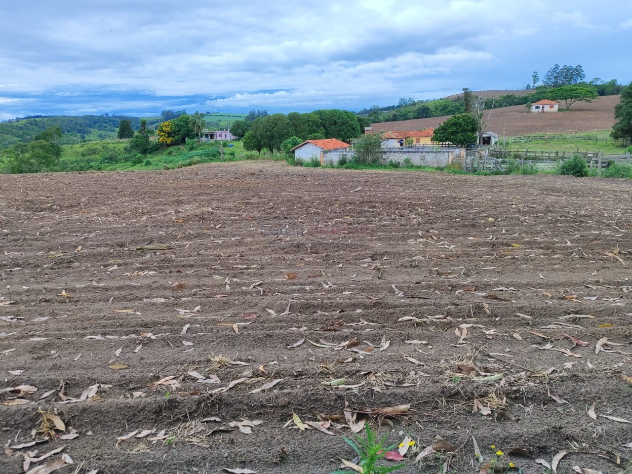 Fazenda na Regiãode Itapetininga-SP: 6 quartos, 4 salas, 4 banheiros, 40 vagas de garagem, 1.167.650,00 m² de área.