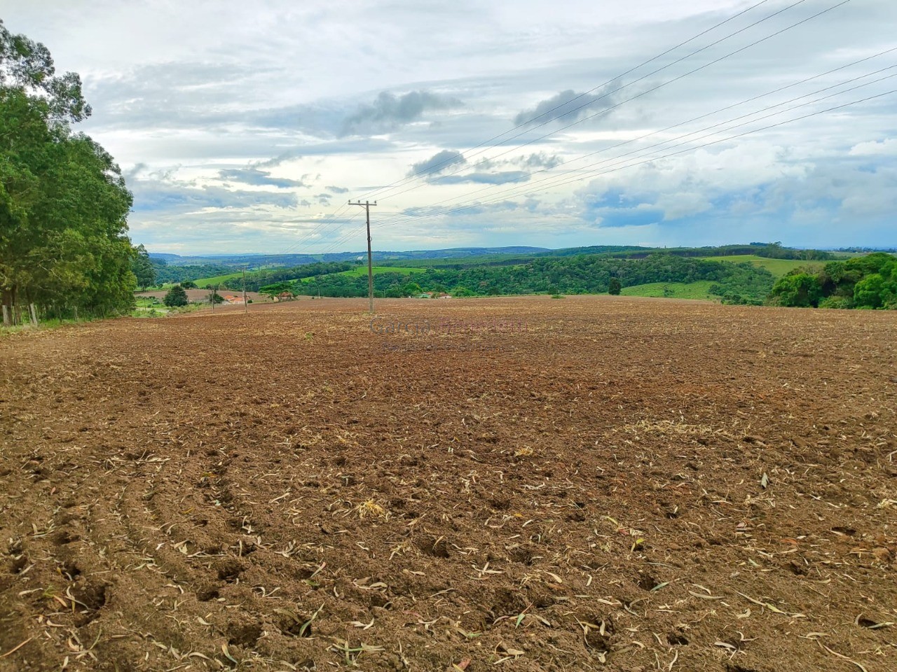 Fazenda na Regiãode Itapetininga-SP: 6 quartos, 4 salas, 4 banheiros, 40 vagas de garagem, 1.167.650,00 m² de área.