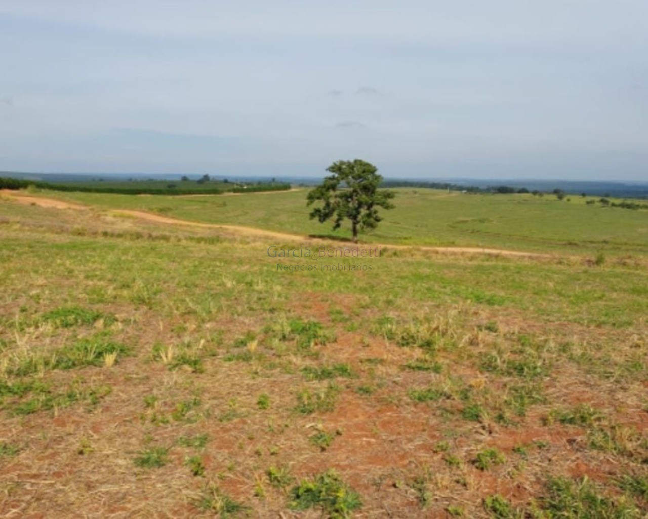 Fazenda de porte com 4 quartos e 30 vagas em bauru-sp - lote