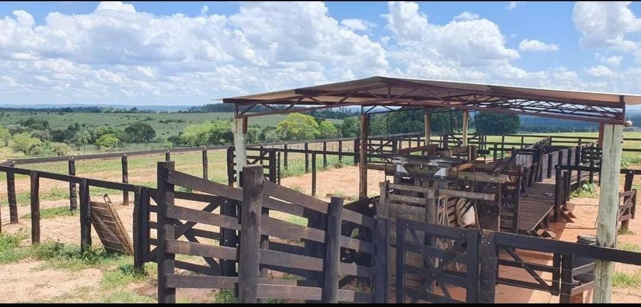 Fazenda de porte com 4 quartos e 30 vagas em bauru-sp - lote