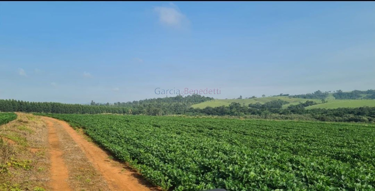 Sítio à venda em Itapetininga-SP, no bairro Vale San Fernando, com 895.400 m² de área!