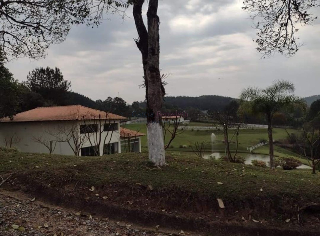 Fazenda de pinus e industria de resina à venda em itapeva-sp